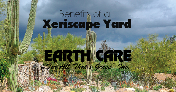 benefits-of-a-xeriscape-yard-earth-care-for-all-that-s-green-inc
