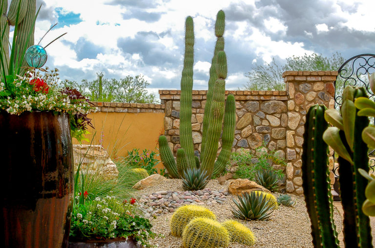 benefits-of-a-xeriscape-yard-earth-care-for-all-that-s-green-inc
